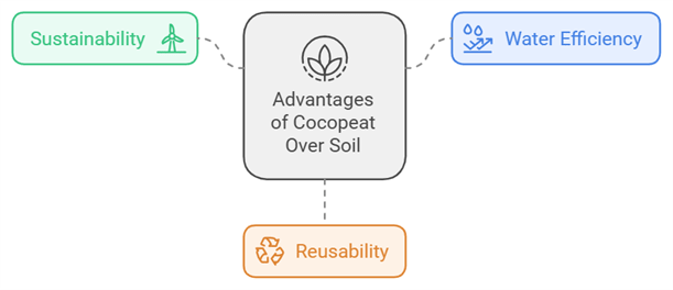 Advantages of cocopeat over soil