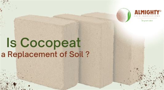 Is Cocopeat a Replacement of Soil