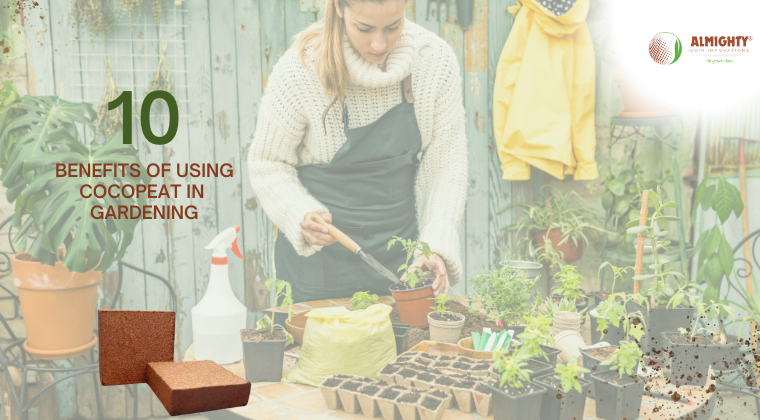 BENEFITS OF USING COCOPEAT IN GARDENING